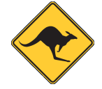 Blackwood Valley Skippycoin ICG Blackwood Valley Skippycoin ICG